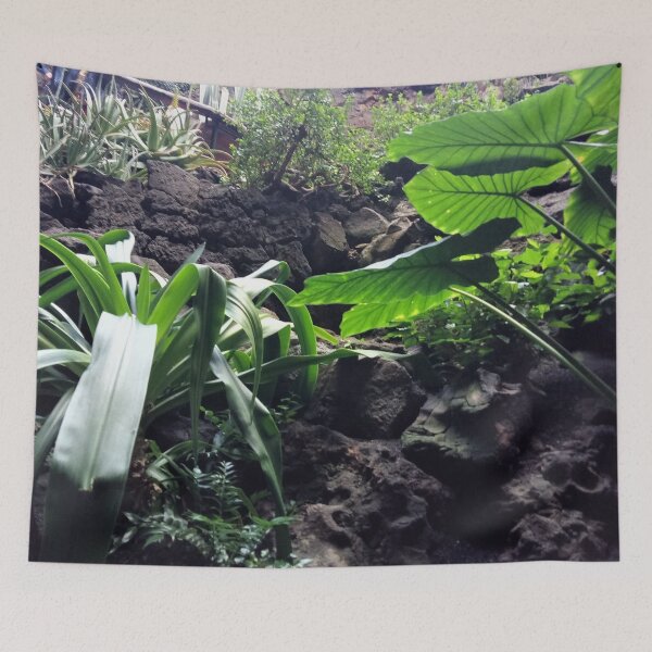 Item preview, cactus,cactus garden,lanzarote,flowers,Tropical Botanical Exotic Palm canary Island Jungle Paradise designed and sold by ADAMYASS.