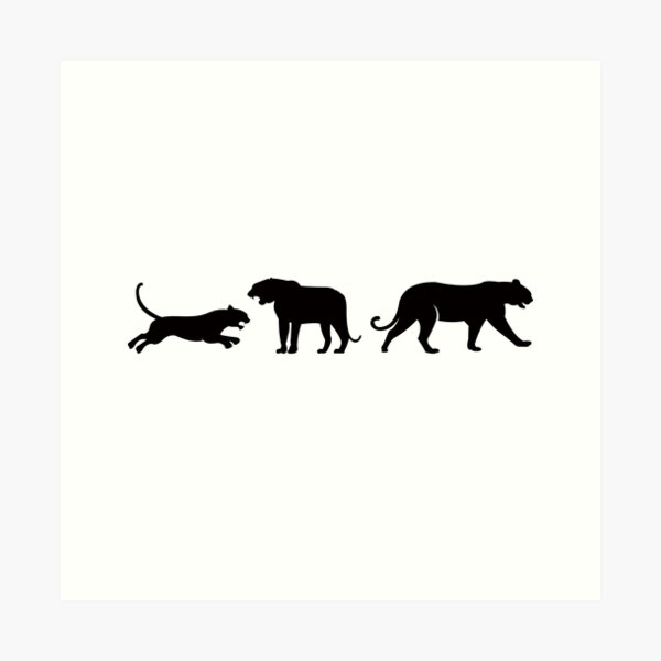 Florida Panther Original Artwork by Artist Sherrie Spencer