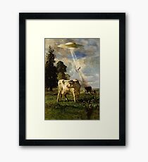 Cow Kidnapping Framed Print