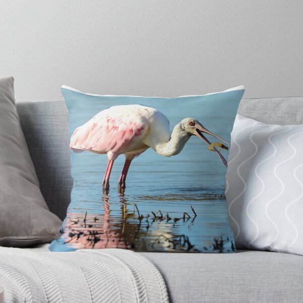 Item preview, Shrimp for Breakfast! designed and sold by Frank Parisi.