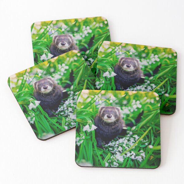 Item preview, Spring Ferret designed and sold by PurpleBluesPets.