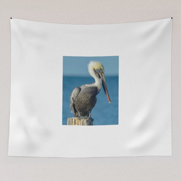 Item preview, Shy Florida Pelican designed and sold by Frank Parisi.