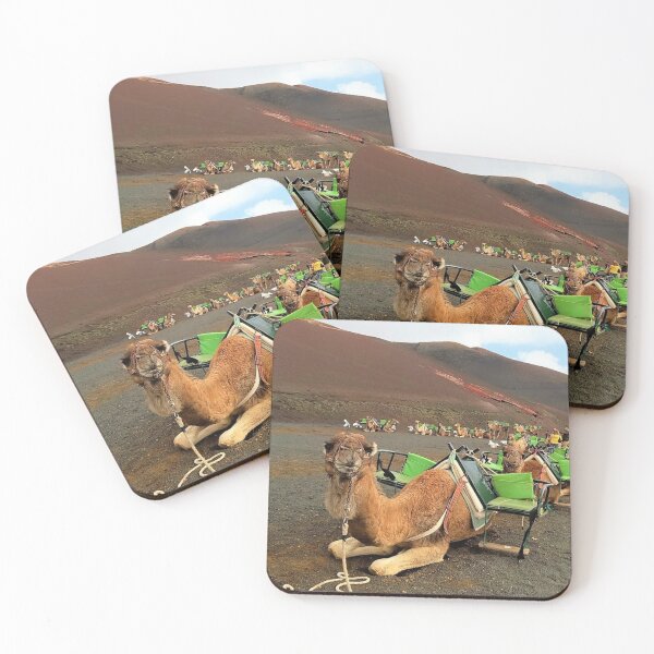 Item preview, camel ride photo  lanzarote camel route designed and sold by ADAMYASS.