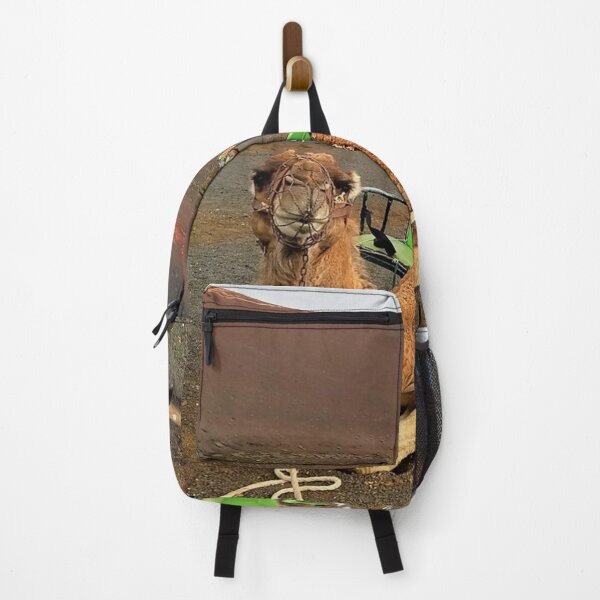 Item preview, camel ride photo lanzarote camel route designed and sold by ADAMYASS.