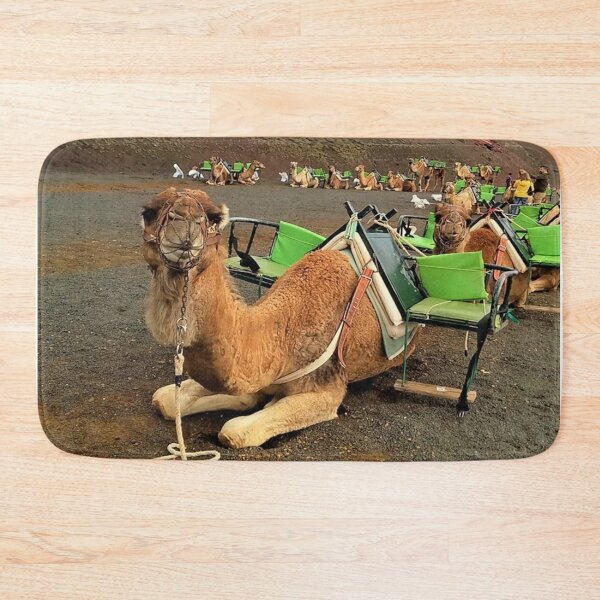 Item preview, camel ride photo  lanzarote camel route designed and sold by ADAMYASS.