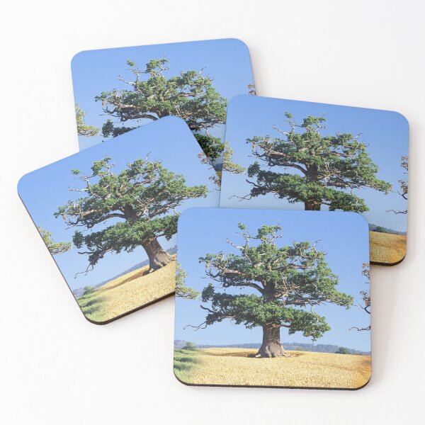 Item preview, A tree for all Seasons designed and sold by Warren  Photographic.