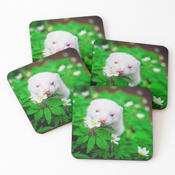 Item preview, Albino Ferret Migaloo designed and sold by PurpleBluesPets.