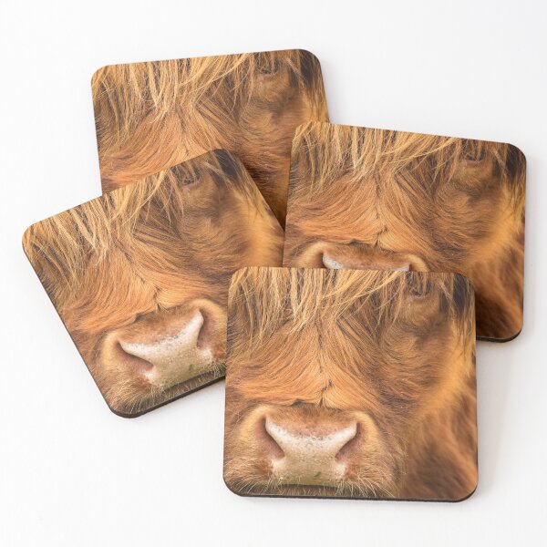 Item preview, Highland Cows Close Up Isle of Skye Scotland. designed and sold by PhotosEcosse.