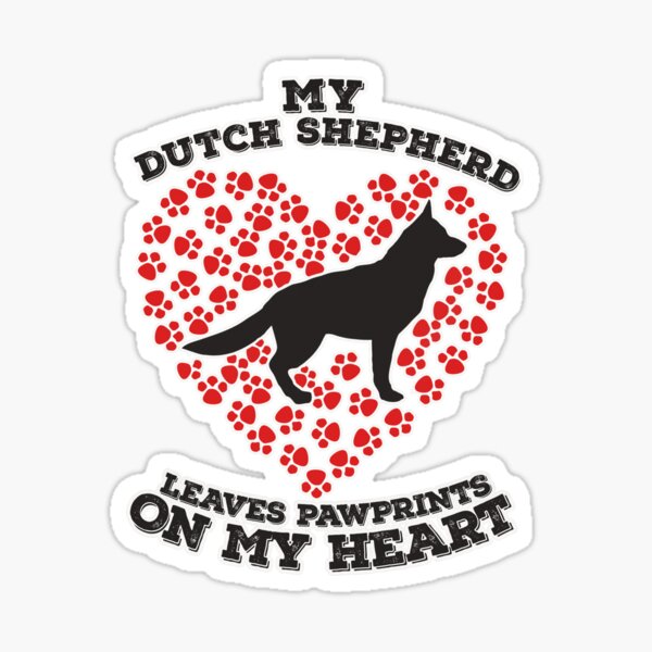My Dutch Shepherd Leaves Pawprints on my Heart Sticker