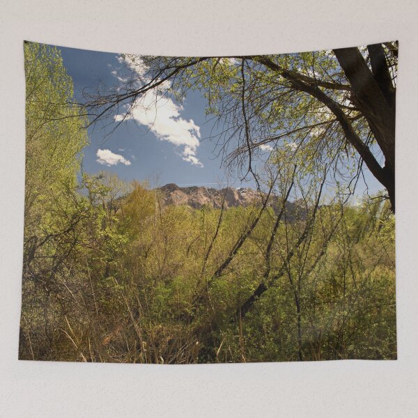 Item preview, Scenic forest and mountain nature designed and sold by Ventures1.
