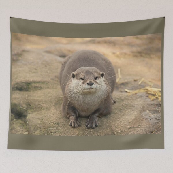 Item preview, Nutria designed and sold by hawkie.