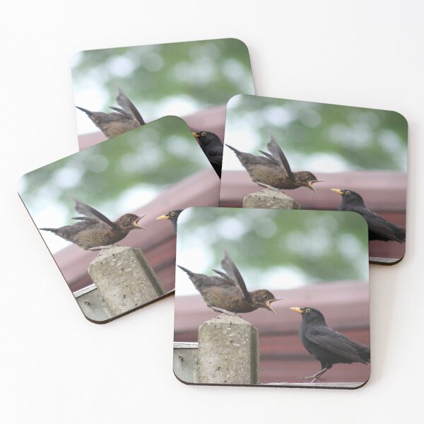 Item preview, Baby blackbird waiting for food designed and sold by Gaynor-dI.
