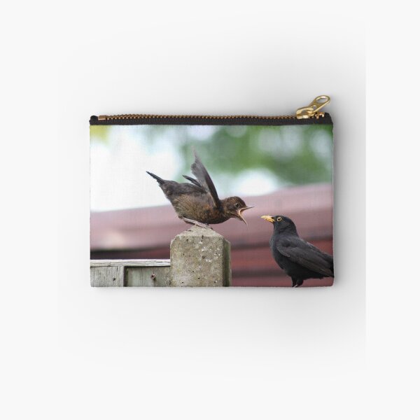 Artikelvorschau, Baby Amsel wartet auf Essen entworfen und verkauft von Gaynor-dI.