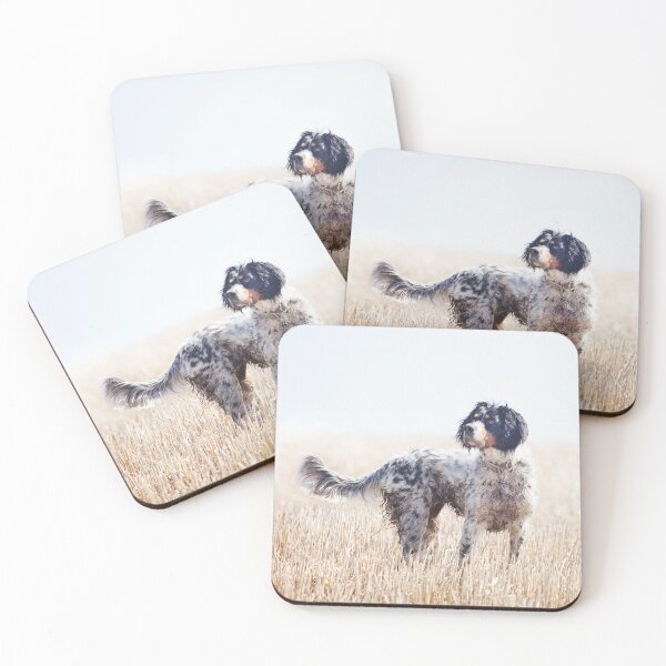 Item preview, English Setter in Field designed and sold by Shauna Kenworthy.