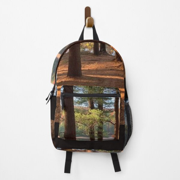 Item preview, Maxfield Parrish Landscape Photograph by Ellen Barton Harriman designed and sold by EarthArtDesigns.