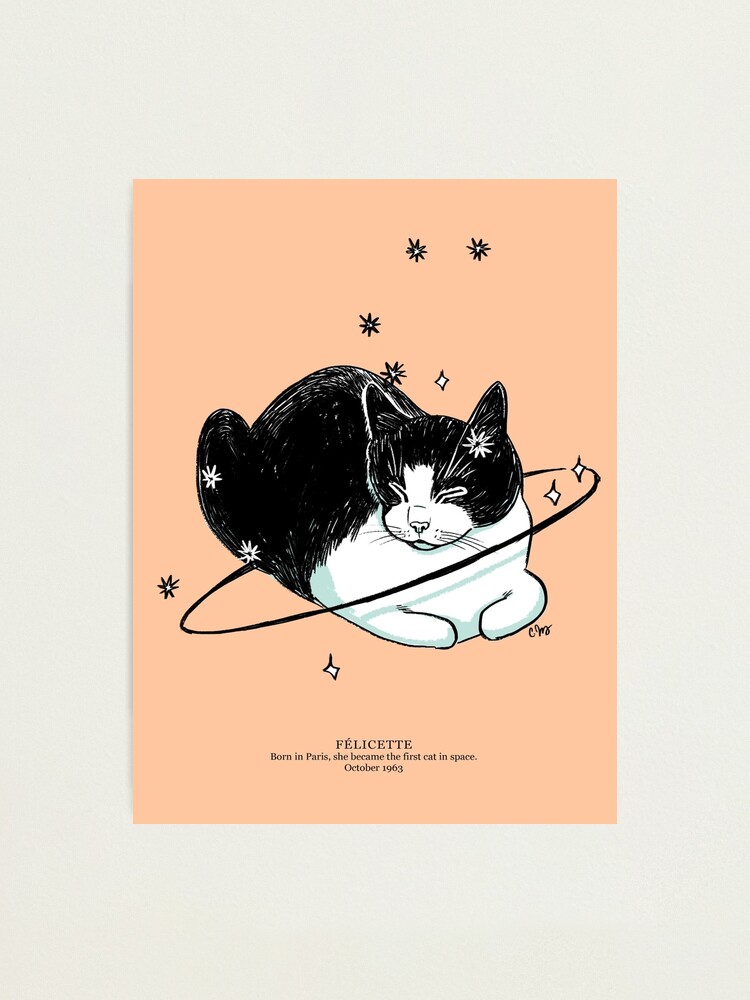 The First and Last Cat in Space: Cat Astronaut Félicette - Orbital Today