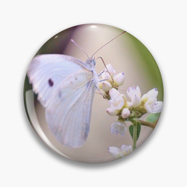 Item preview, Delicate Cabbage White designed and sold by What I See by Dawne.