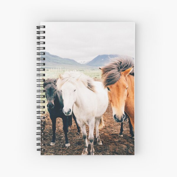 Aperçu de l'œuvre une photo nature de 3 chevaux en liberté, cadeau aventure, cadeau maman, amoureux de la nature créée et vendue par Martin-bivert.
