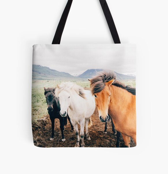 Aperçu de l'œuvre une photo nature de 3 chevaux en liberté, cadeau aventure, cadeau maman, amoureux de la nature créée et vendue par Martin-bivert.