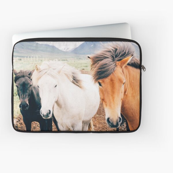 Aperçu de l'œuvre une photo nature de 3 chevaux en liberté, cadeau aventure, cadeau maman, amoureux de la nature créée et vendue par Martin-bivert.
