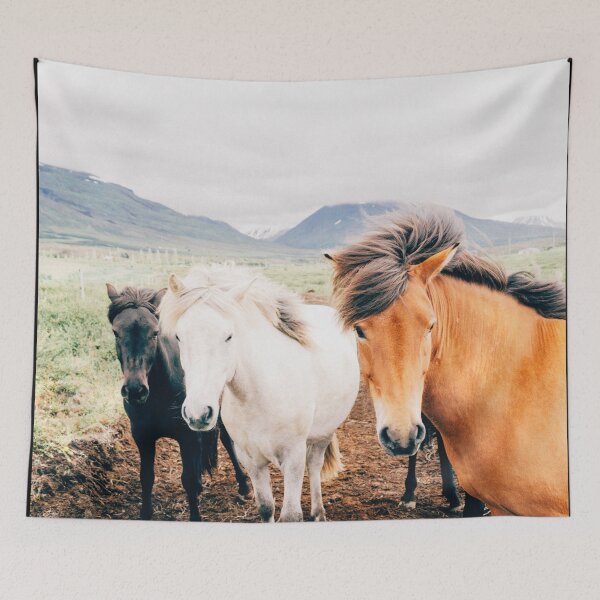 Item preview, a natural photo of 3 horses in the wild, adventure gift , mom gift, nature lovers designed and sold by Martin-bivert.