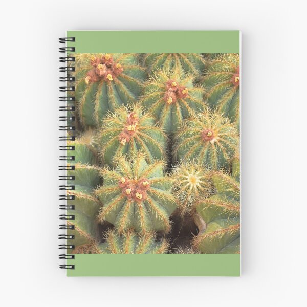 Item preview, Cacti designed and sold by Leksar.