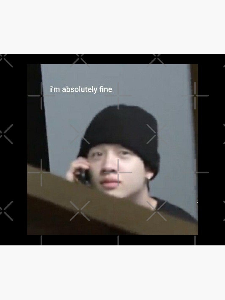 Bang Chan cellphone meme