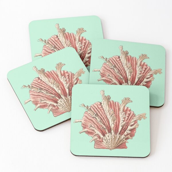 Item preview, Vintage Seashell Illustration designed and sold by TheDailyArt.