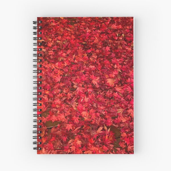 Item preview, The leaves have fallen designed and sold by Christine Sternfels.