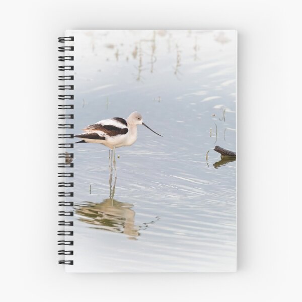 Item preview, American Avocet in Texas designed and sold by PhotoArt by Joan Carroll.