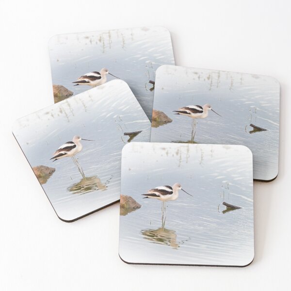Item preview, American Avocet in Texas designed and sold by PhotoArt by Joan Carroll.
