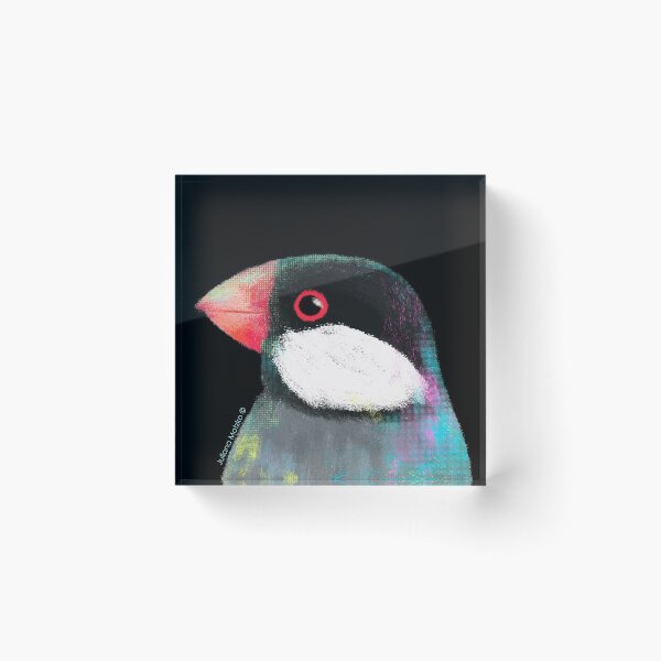 Aperçu de l'œuvre Oiseau moineau de Java créée et vendue par julianamotzko.