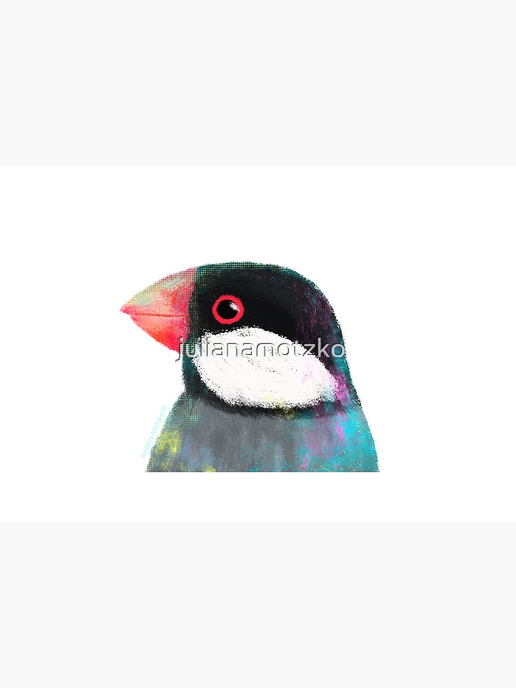 Java Sparrow Bird by julianamotzko