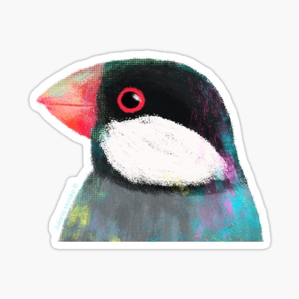Java Sparrow Bird Sticker