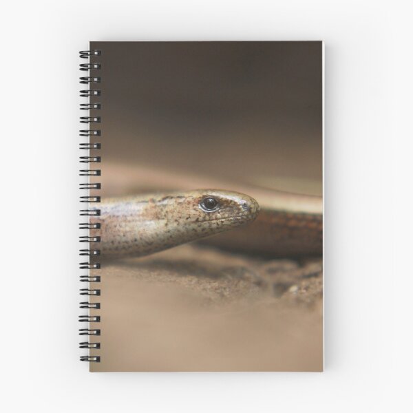 Item preview, Slowly does it ! designed and sold by miradorpictures.