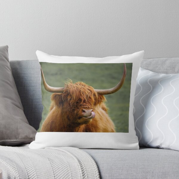 Item preview, Cheeky highland coo designed and sold by Md1982.