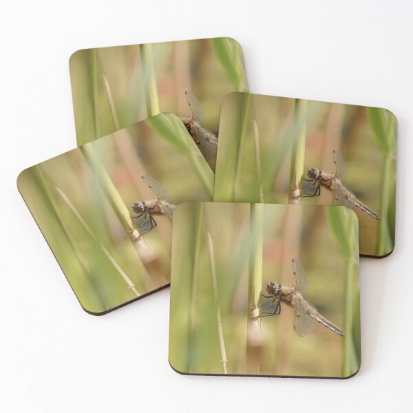 Item preview, Signs of Summer designed and sold by miradorpictures.