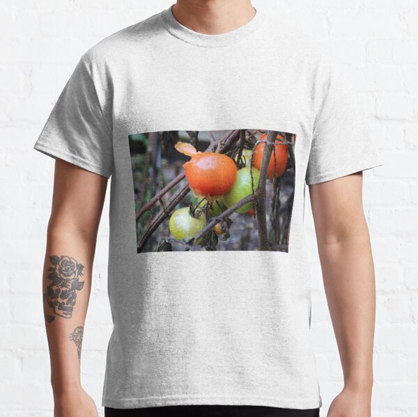 Rotten Tomatoes T-Shirts for Sale