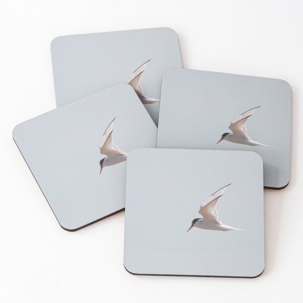 Item preview, Little terns gone fishing ! designed and sold by miradorpictures.