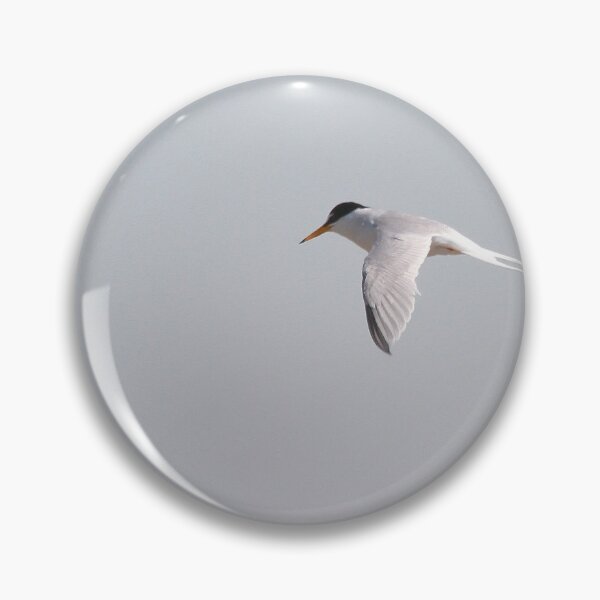 Item preview, Coastal flight designed and sold by miradorpictures.