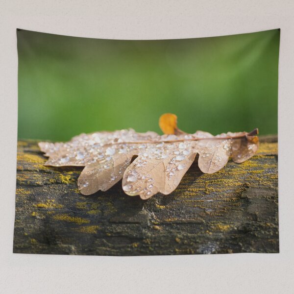 Item preview, Leaf from the Fall Tree designed and sold by Damian Strzechowski.