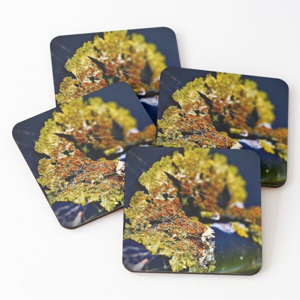 Item preview, Lichen on the Edge designed and sold by tasturm1.