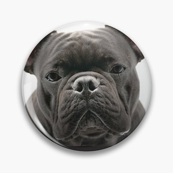 Item preview, French Bulldog Dog cute pet portrait dogs pets sweet  designed and sold by Coolstuff4you71.