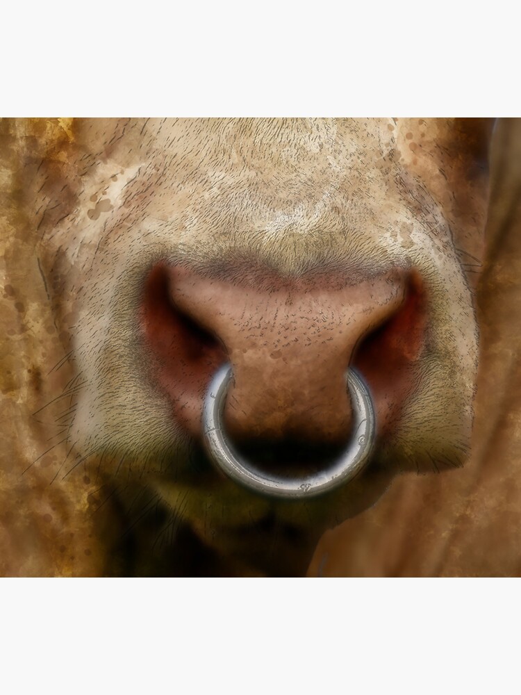 Lucky Horseshoe L Shaped Nose Ring 20G | BodyDazz.com