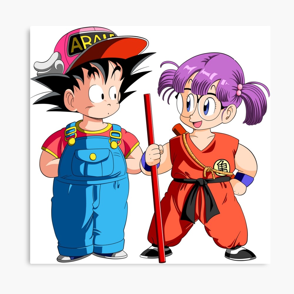 ARALE GOKU