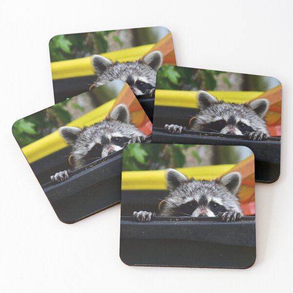 Item preview, Nice raccoon designed and sold by Glineur.