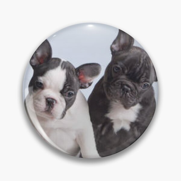Item preview, French Bulldog Dog cute pet portrait dogs pets sweet puppies puppy designed and sold by Coolstuff4you71.