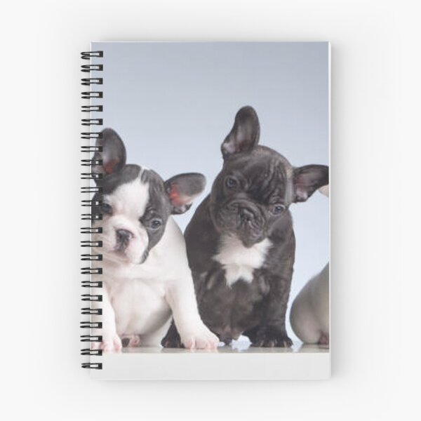 Item preview, French Bulldog Dog cute pet portrait dogs pets sweet puppies puppy designed and sold by Coolstuff4you71.