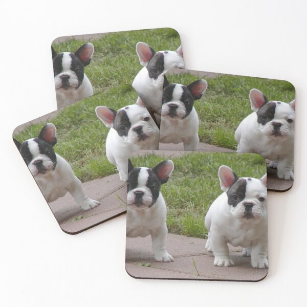 Item preview, French Bulldog Dog cute pet portrait dogs pets sweet puppies puppy designed and sold by Coolstuff4you71.