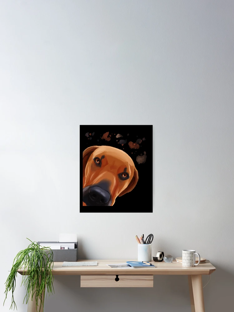 Thumbnail 2 of 3, Poster, Curious Rhodesian Ridgeback Dog designed and sold by alwe-designs.